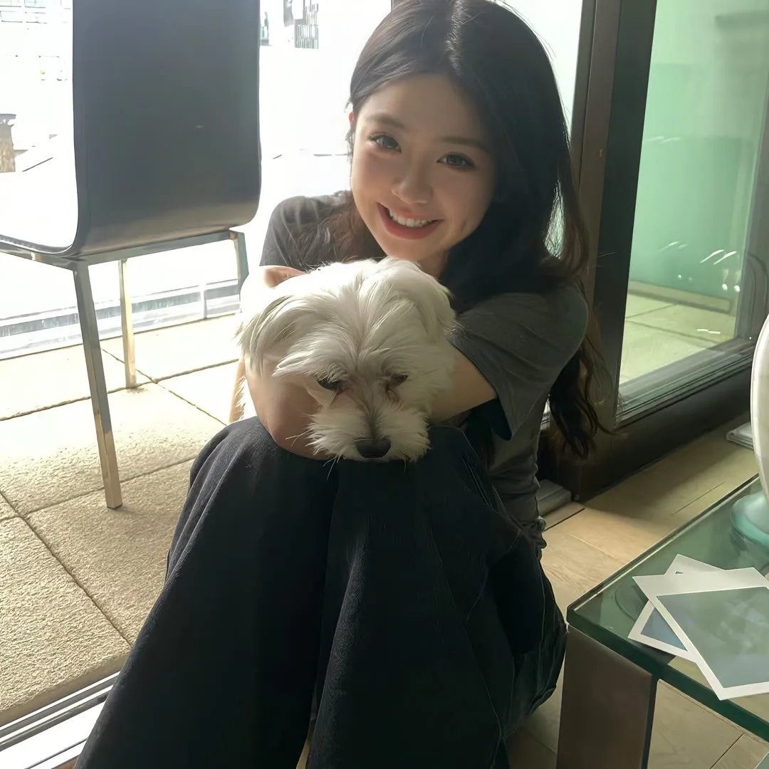 羊与钢之森